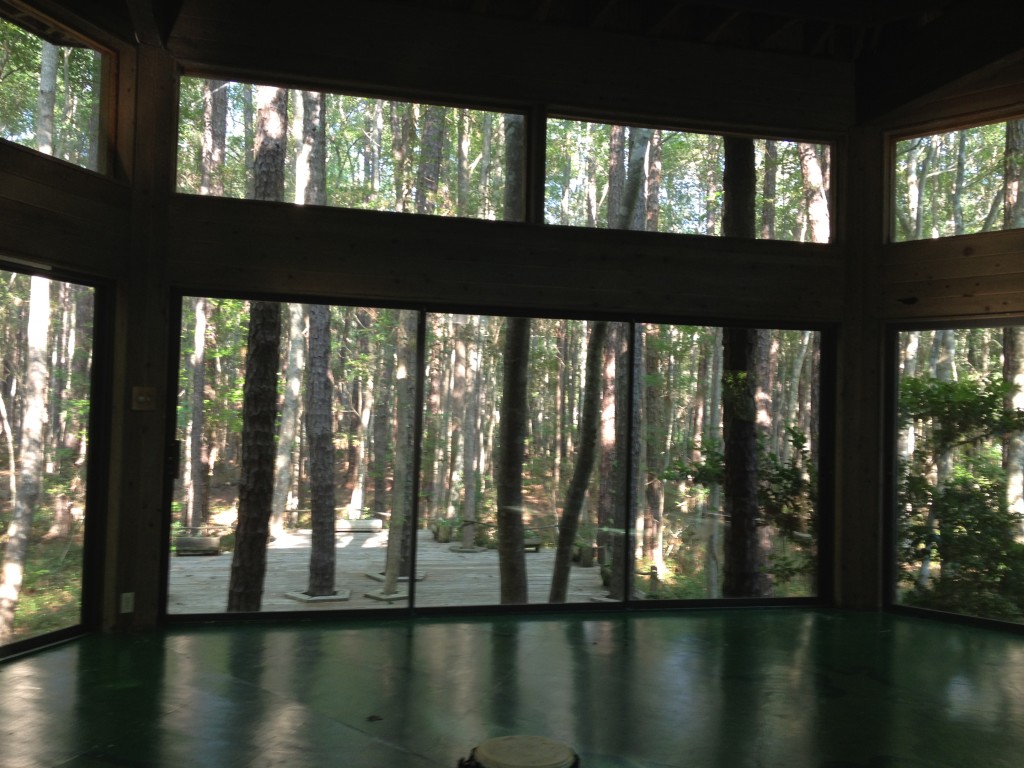 This is the glass room where I did yoga everyday!