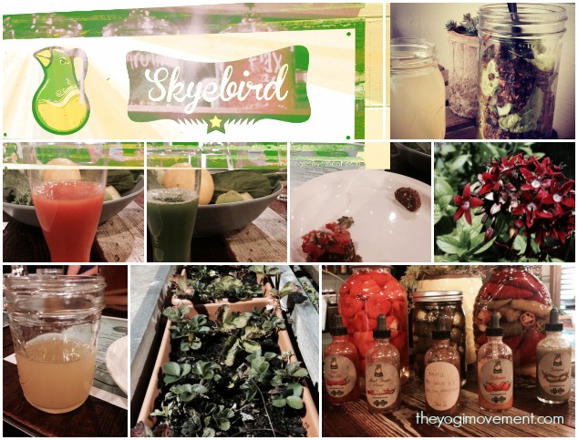 Get Healthy With Skyebird Juice Bar & Experimental Kitchen!