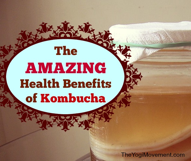 kombucha benefits