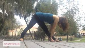 This is a variation of a standing forward bend. It's an easy version to begin to open your hamstrings